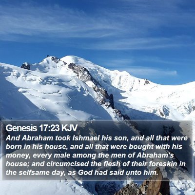 Genesis 17:23 KJV Bible Verse Image