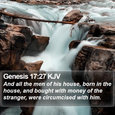 Genesis 17:27 KJV Bible Verse Image