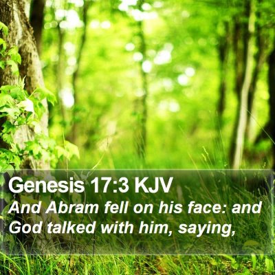 Genesis 17:3 KJV Bible Verse Image