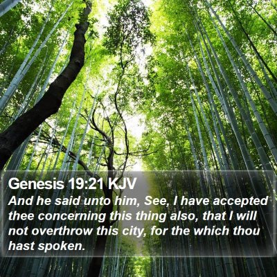 Genesis 19:21 KJV Bible Verse Image