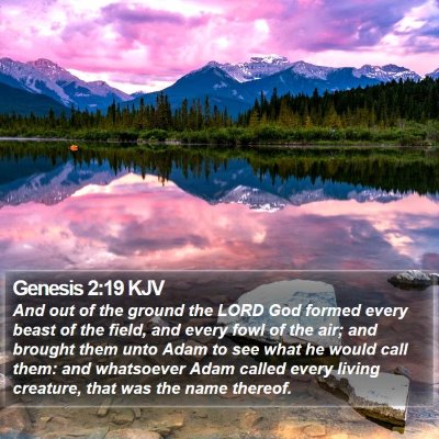 Genesis 2:19 KJV Bible Verse Image