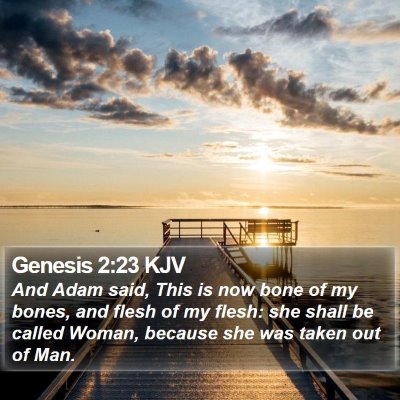 Genesis 2:23 KJV Bible Verse Image