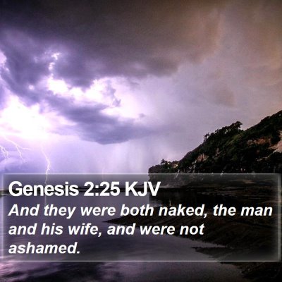 Genesis 2:25 KJV Bible Verse Image