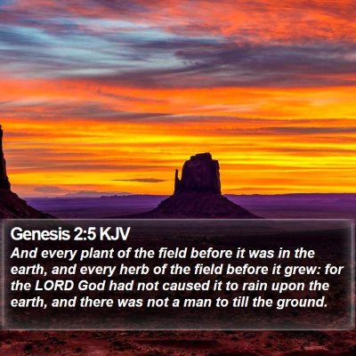 Genesis 2:5 KJV Bible Verse Image