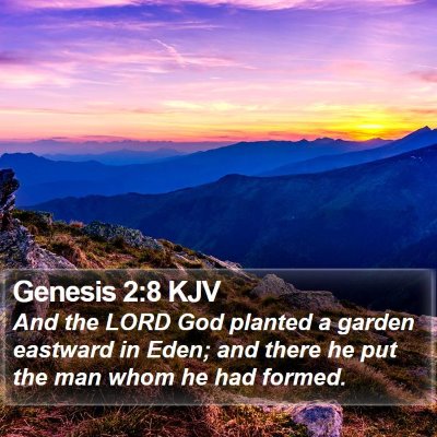 Genesis 2:8 KJV Bible Verse Image