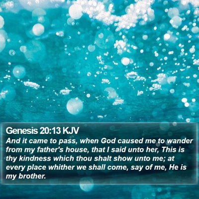 Genesis 20:13 KJV Bible Verse Image