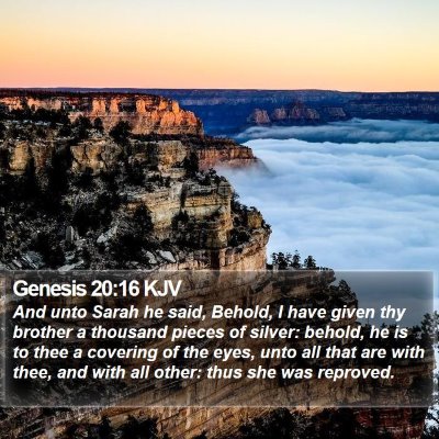 Genesis 20:16 KJV Bible Verse Image