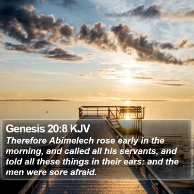 Genesis 20:8 KJV Bible Verse Image