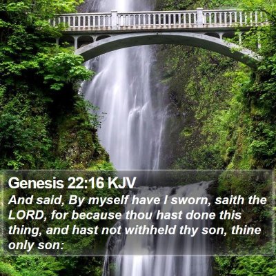 Genesis 22:16 KJV Bible Verse Image
