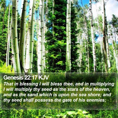Genesis 22:17 KJV Bible Verse Image