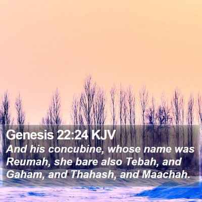 Genesis 22:24 KJV Bible Verse Image
