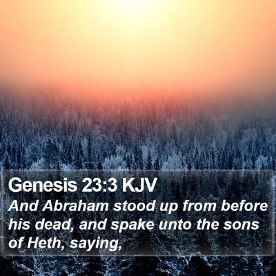 Genesis 23:3 KJV Bible Verse Image