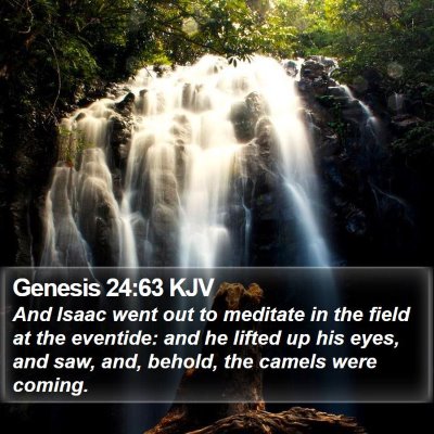 Genesis 24:63 KJV Bible Verse Image