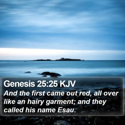Genesis 25:25 KJV Bible Verse Image