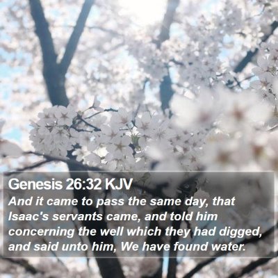 Genesis 26:32 KJV Bible Verse Image