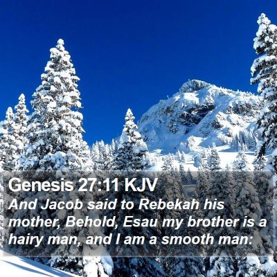 Genesis 27:11 KJV Bible Verse Image