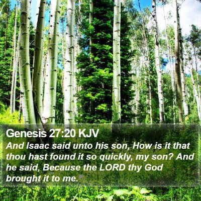 Genesis 27:20 KJV Bible Verse Image