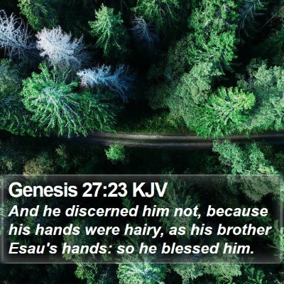 Genesis 27:23 KJV Bible Verse Image