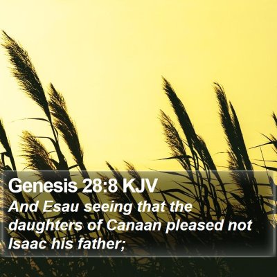Genesis 28:8 KJV Bible Verse Image