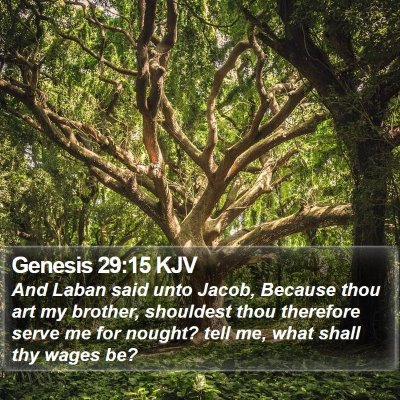 Genesis 29:15 KJV Bible Verse Image