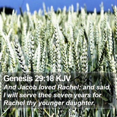 Genesis 29:18 KJV Bible Verse Image