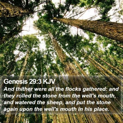 Genesis 29:3 KJV Bible Verse Image