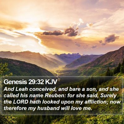 Genesis 29:32 KJV Bible Verse Image