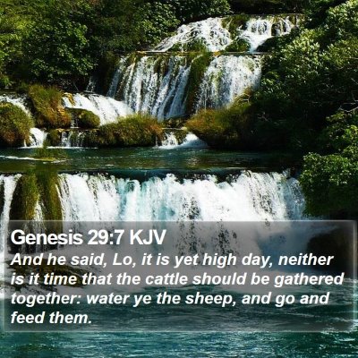Genesis 29:7 KJV Bible Verse Image