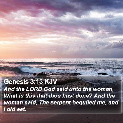 Genesis 3:13 KJV Bible Verse Image