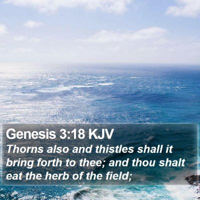 Genesis 3:18 KJV Bible Verse Image