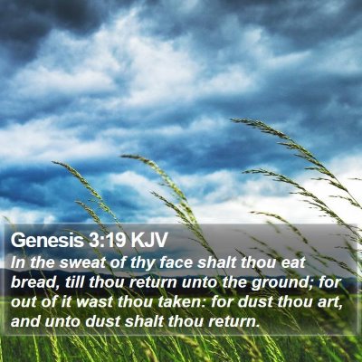 Genesis 3:19 KJV Bible Verse Image