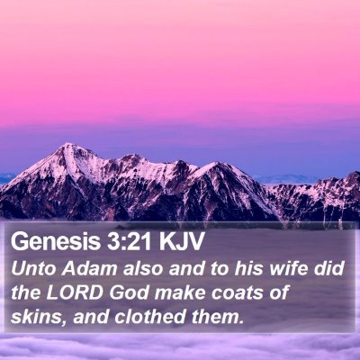 Genesis 3:21 KJV Bible Verse Image