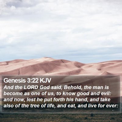 Genesis 3:22 KJV Bible Verse Image