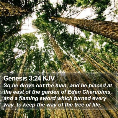 Genesis 3:24 KJV Bible Verse Image