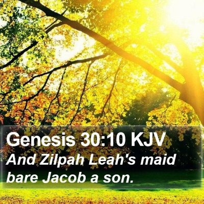 Genesis 30:10 KJV Bible Verse Image