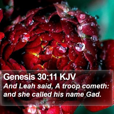 Genesis 30:11 KJV Bible Verse Image
