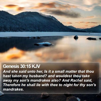 Genesis 30:15 KJV Bible Verse Image