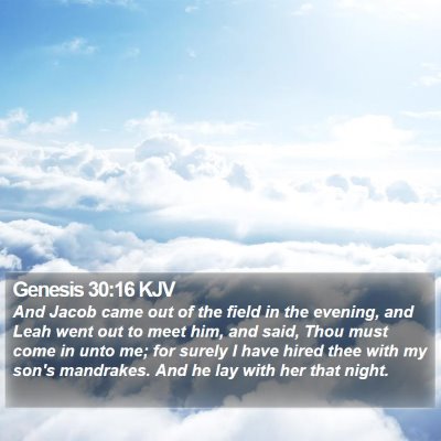Genesis 30:16 KJV Bible Verse Image
