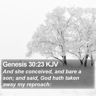 Genesis 30:23 KJV Bible Verse Image