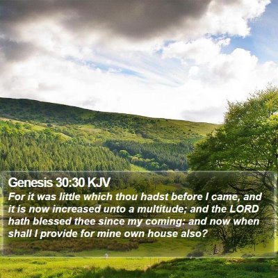 Genesis 30:30 KJV Bible Verse Image
