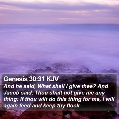 Genesis 30:31 KJV Bible Verse Image