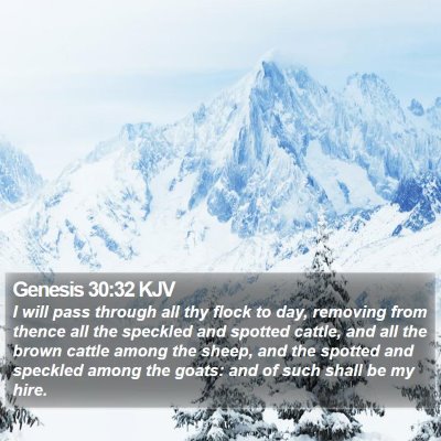Genesis 30:32 KJV Bible Verse Image