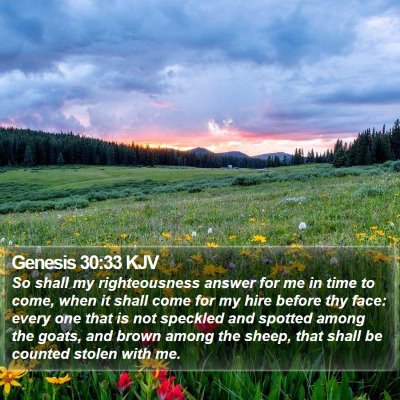 Genesis 30:33 KJV Bible Verse Image