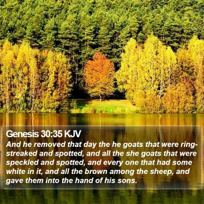 Genesis 30:35 KJV Bible Verse Image