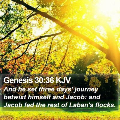 Genesis 30:36 KJV Bible Verse Image