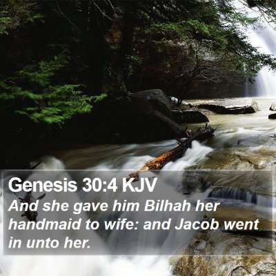 Genesis 30:4 KJV Bible Verse Image