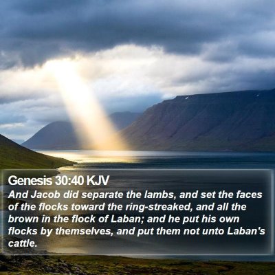 Genesis 30:40 KJV Bible Verse Image
