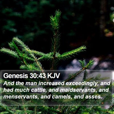 Genesis 30:43 KJV Bible Verse Image