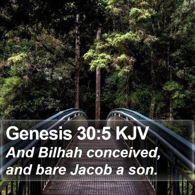 Genesis 30:5 KJV Bible Verse Image