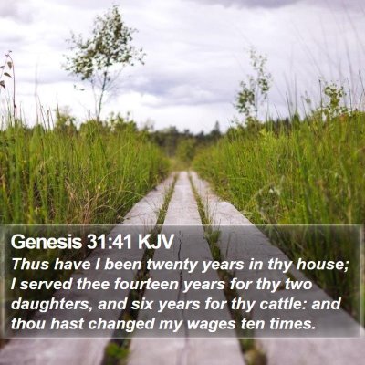 Genesis 31:41 KJV Bible Verse Image